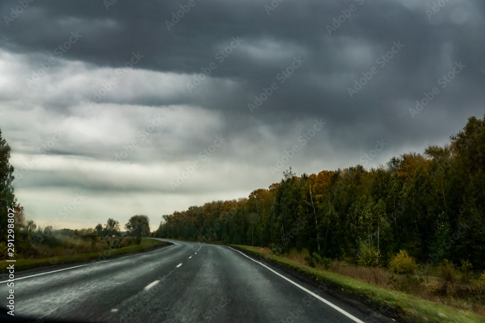 ride, speed, track, highway, wet, gray, road, marking, turn, curb, nature, forest, trees, grass, gloomy, sky, clouds, rain