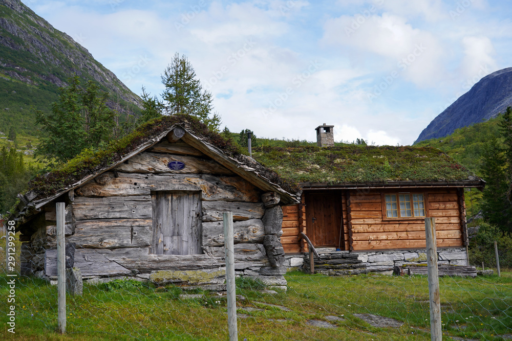 Alesund (Norwegen) Norwegisches Haus in der Natur, Grasdach, typisch norwegisch, Beauty of. Norway,  traditionelles Holz Haus mit Himmel im Sommer, Bauwerk, Weise mit Gras