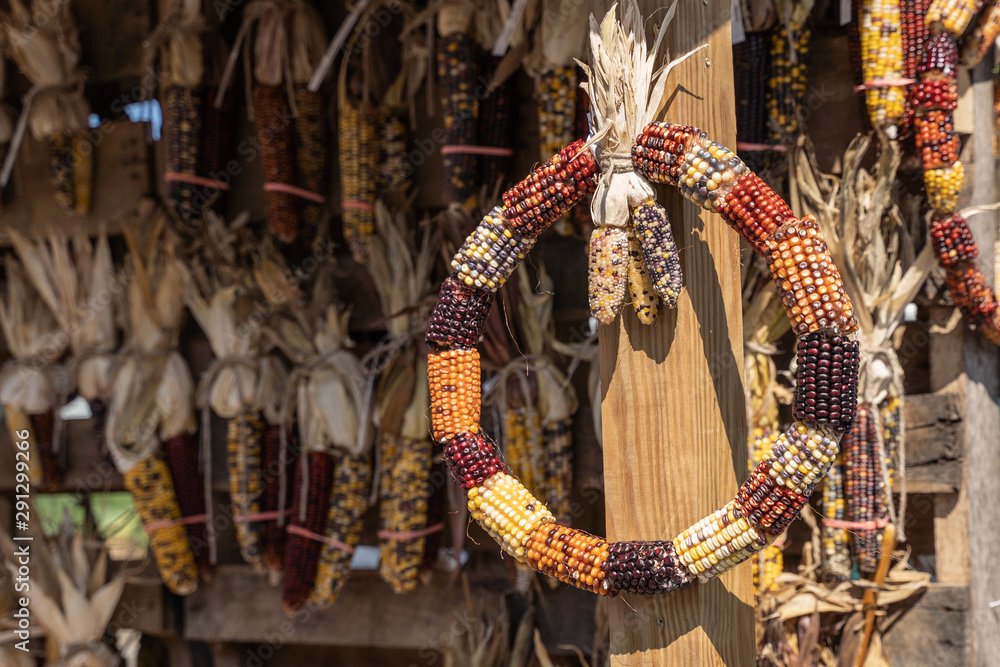 Indian Corn Fall Wreath Indian Corn Fall Wreath