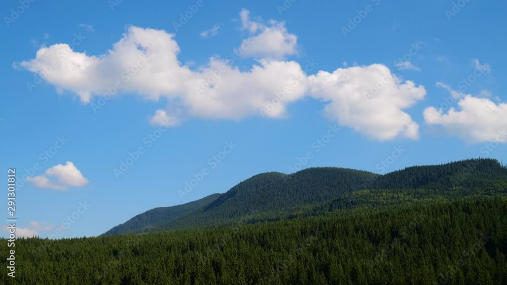 Timelapse of Green Forest Trees Against Blue Sky and Shining Sun. Travel Vacation Nature Concept. Look Up View in europe Forest Background. Timelapse of Green Forest Trees Against Blue Sky and Shining Sun. Travel Vacation Nature Concept. Look Up View in europe Forest Background.