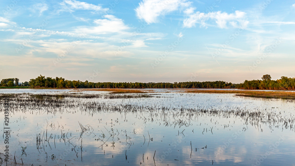 landscape of a wetlands conservation area in late afternoon