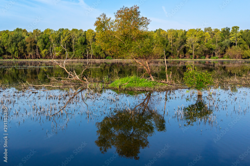 late afternoon landscape of a wetlands conservation area 
