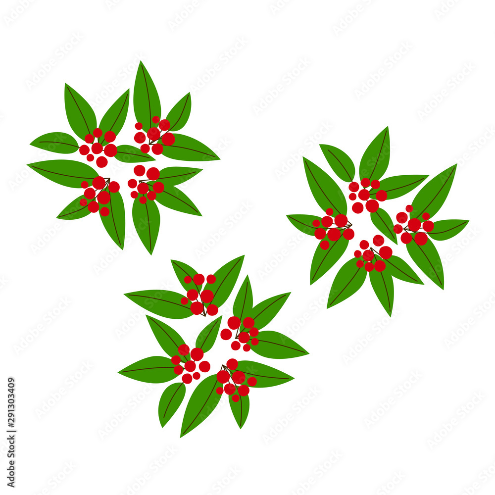 イラスト 秋冬の素材パーツ センリョウ Stock Vector Adobe Stock