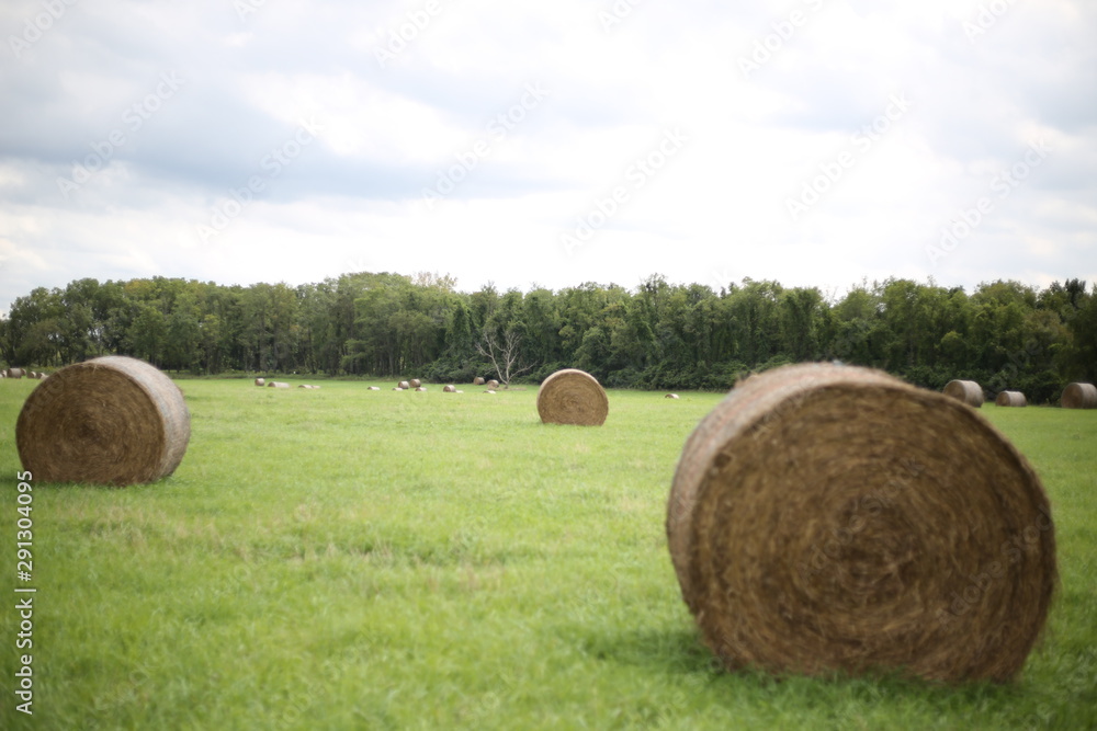 Hay Bales in a field Hay Bales in a field