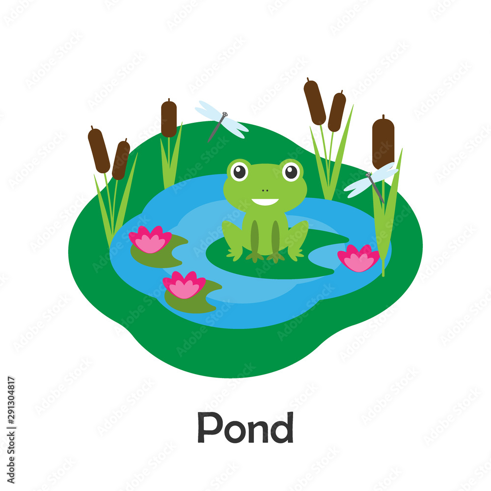 Pond with frog in cartoon style, pond card for kid, preschool activity for  children, vector illustration Stock Vector | Adobe Stock