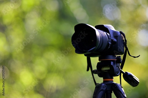Wallpaper Mural Appareil photo dans la nature pour un tournage vidéo - réalisateur photographe Torontodigital.ca