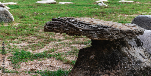 stone in garden