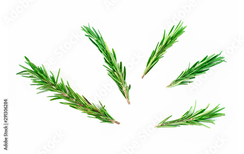 Top view  Branch and Leaf of fresh raw rosemary isolated on white background. Tiwgs - leaf green. Organic and herbal nature concept  Flat lay