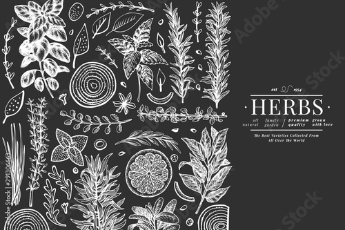 Culinary herbs banner template. Hand drawn vintage botanical illustration on chalk board. Engraved style. Vintage food background.