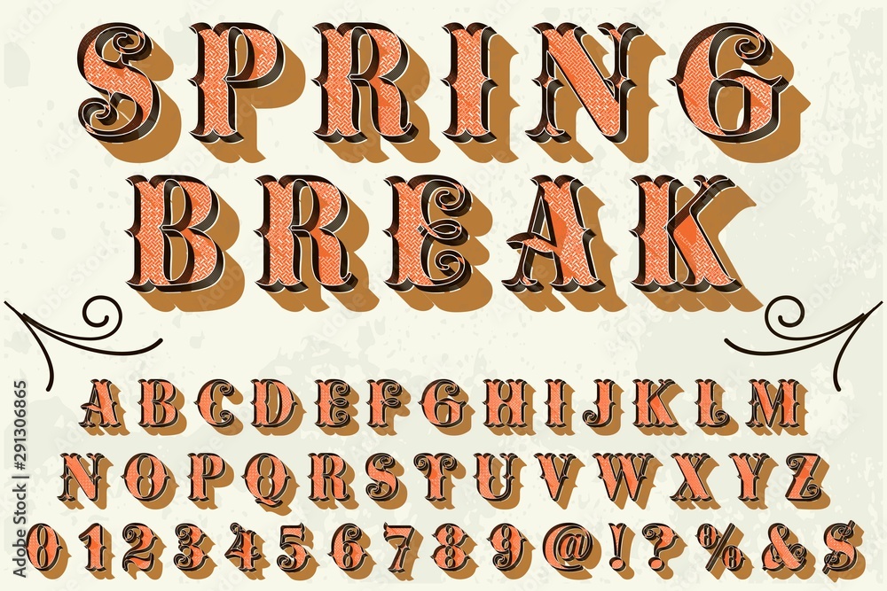 Obraz premium Classic vintage decorative font label design named vintage hipster spring break