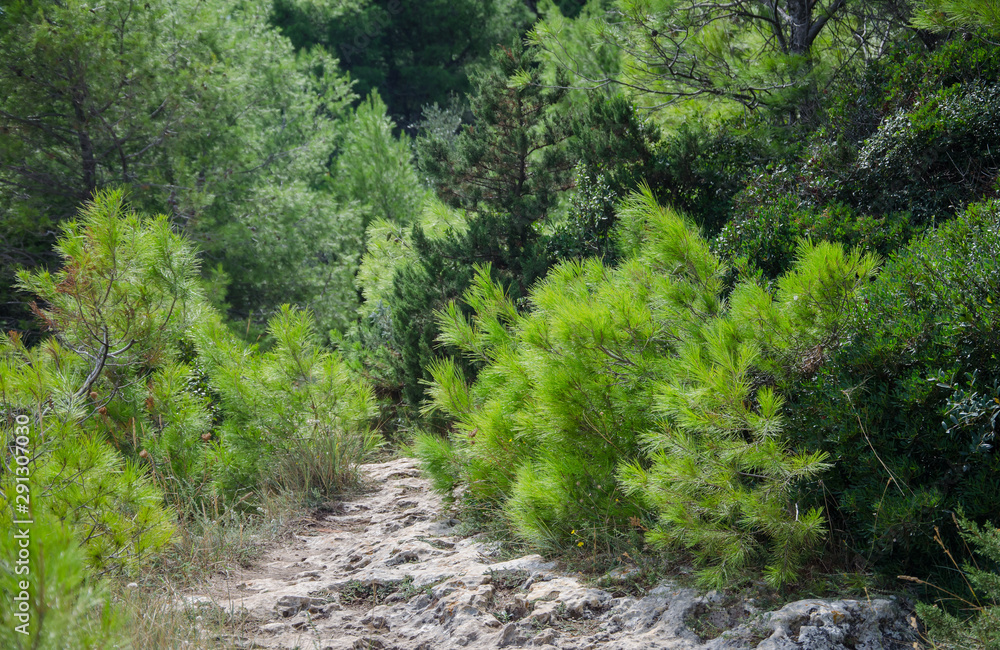 Fototapeta premium Gargano, Italien