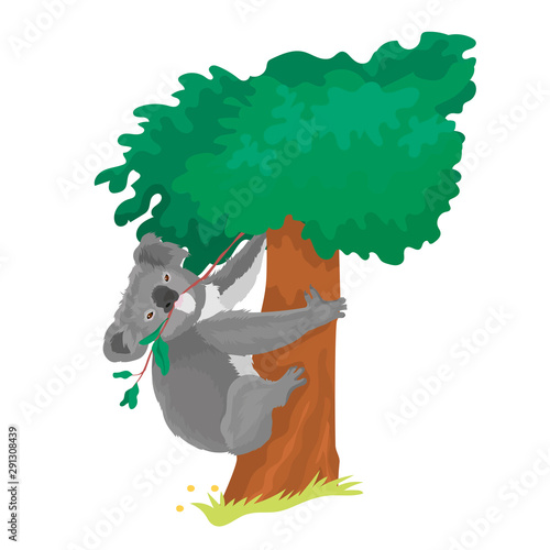 Vector Illustration Of Koala Eats Eucalyptus Leaves
