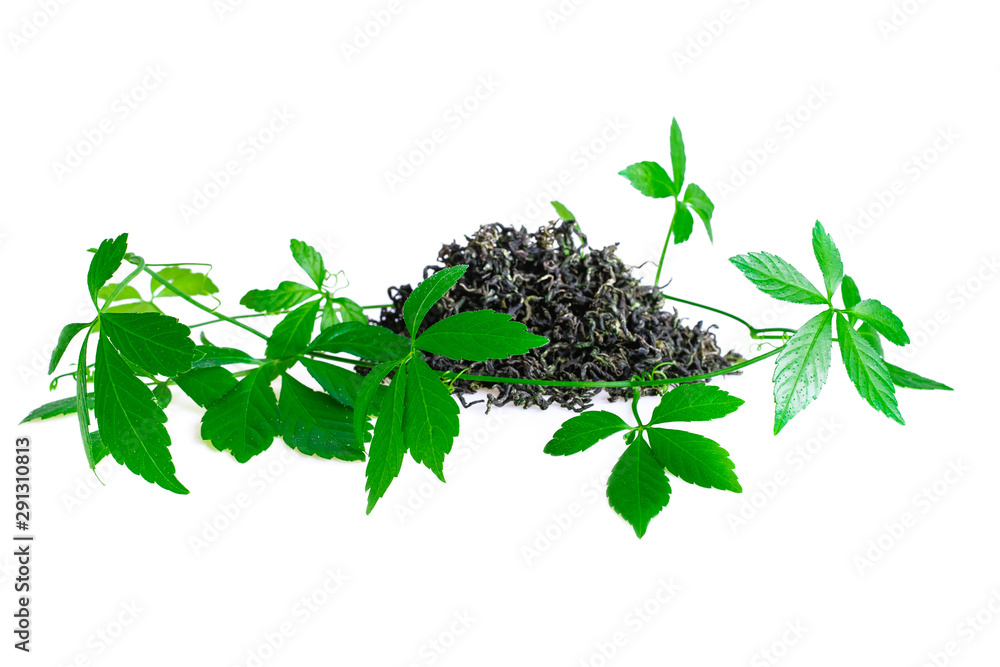 Miracle grass, Southern ginseng, Gynostemma pentaphyllum, Five Leaves Ginseng, Herb of Immortality on White
