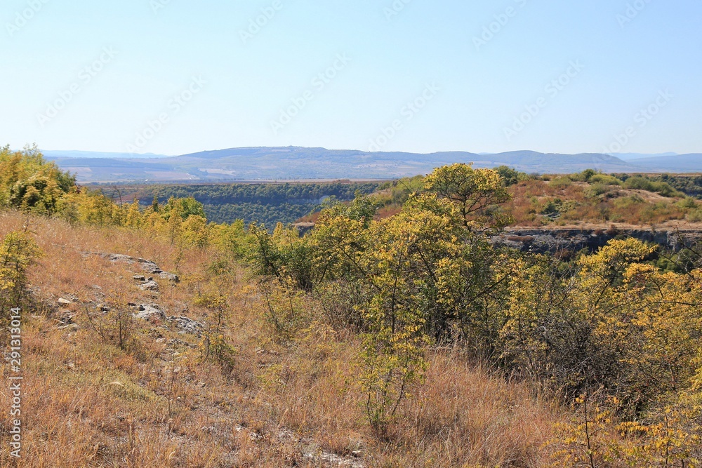 Yellow trees in the mountains of Bulgaria in autumn Yellow trees in the mountains of Bulgaria in autumn