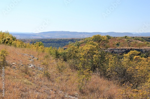 Yellow trees in the mountains of Bulgaria in autumn