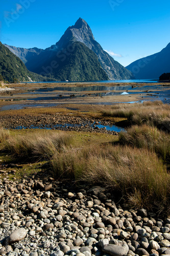 Milford Sound￨New Zealand's South Island
