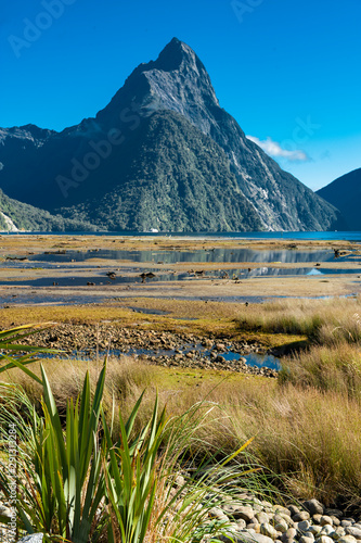 Milford Sound in New Zealand's South Island