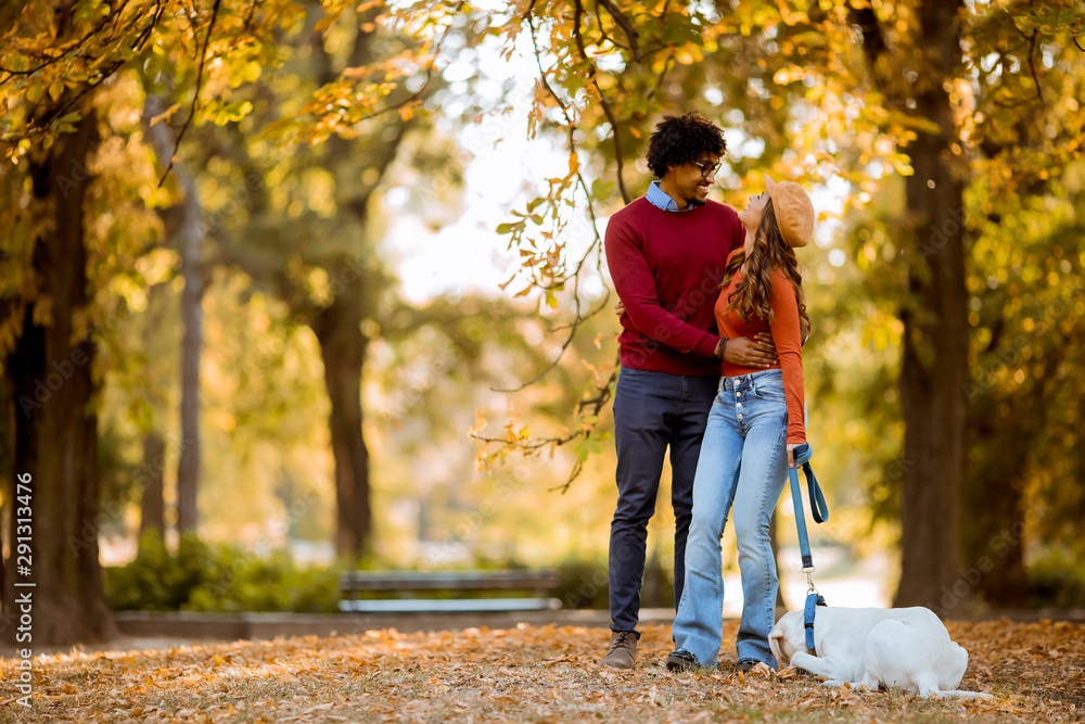 Fototapeta premium Multiracial couple walking with dog in autumn park