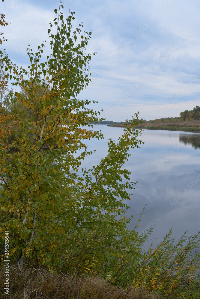 A quiet autumn dawn over the lake in sunlight. The birches were covered with Golden leaves. A quiet autumn dawn over the lake in sunlight. The birches were covered with Golden leaves.