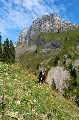 Bergwanderweg von Innereriz über die Sichle nach Merligen (Schweiz, Bern, Berner Oberland) photo