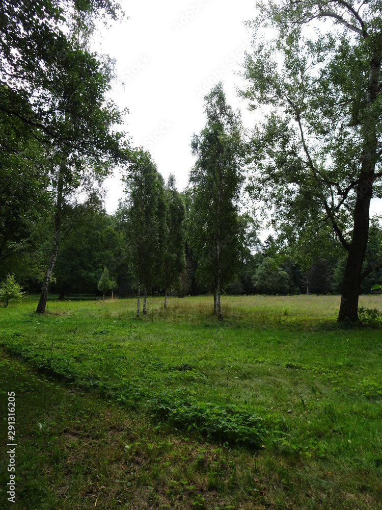 Park Park