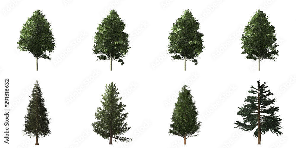 Fototapeta premium Collection of isolated trees on white background