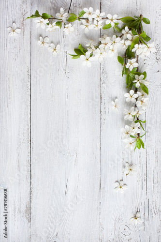 Spring blossoming cherry plums on wooden background