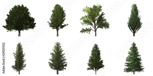 Collection of isolated trees on white background