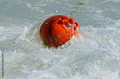 Round red buoy riding the sea waves