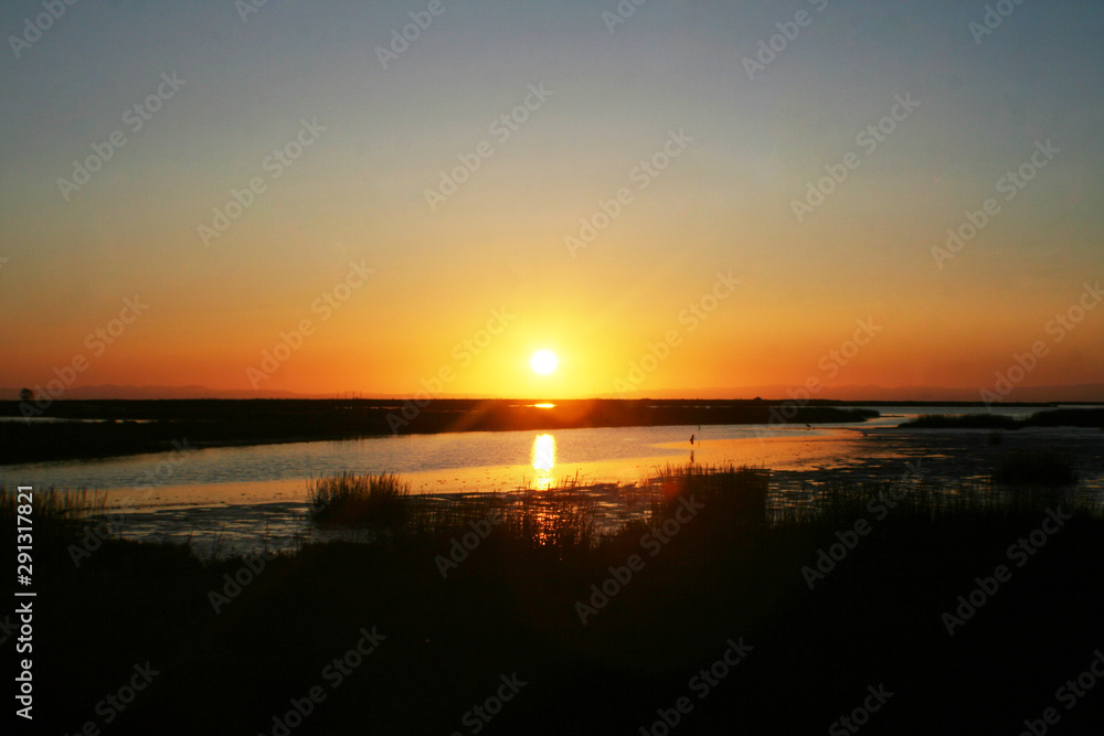 Beautiful Sunrise Over Wetlands In Northern California High Quality 