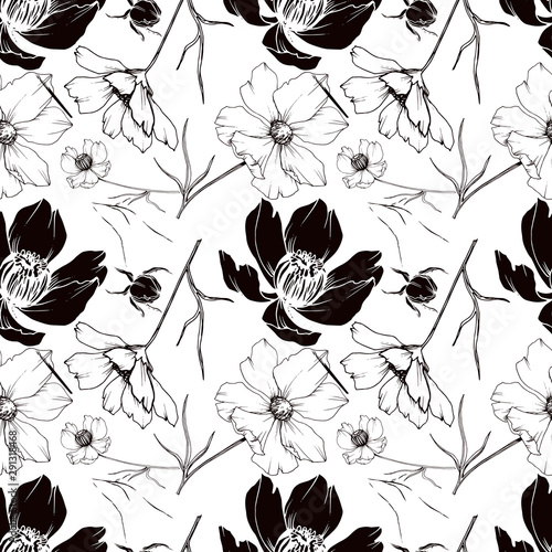 Vector Cosmos floral botanical flowers. Black and white engraved ink art. Seamless background pattern.