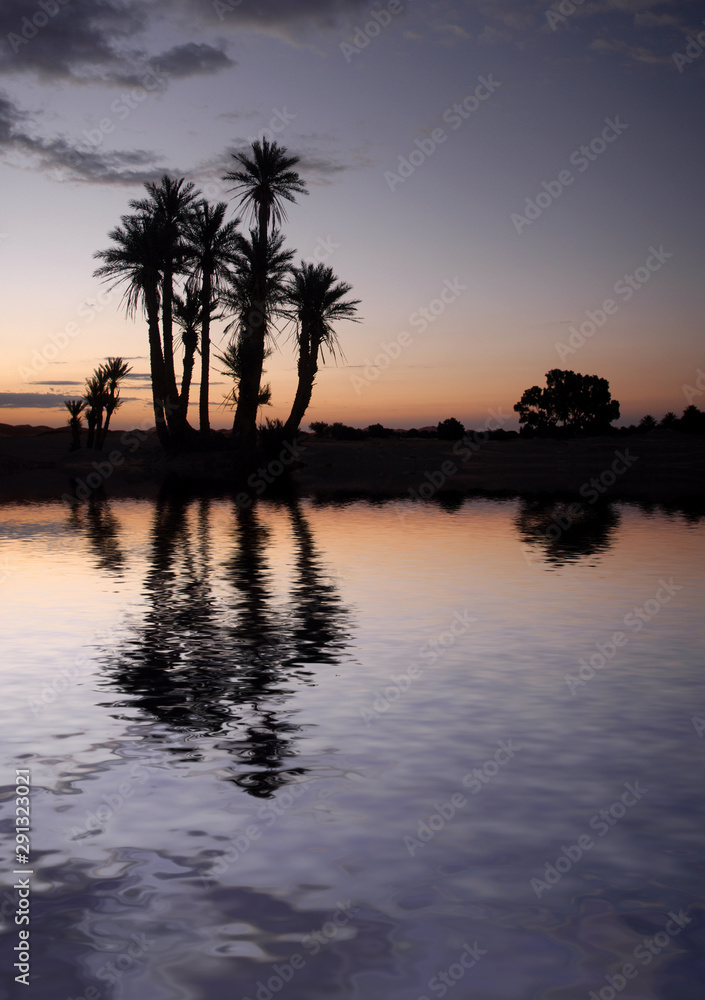 Palm Trees near the Lake at Sunrise