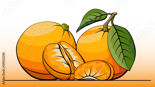 Vector illustration of fruit tangerines on line.