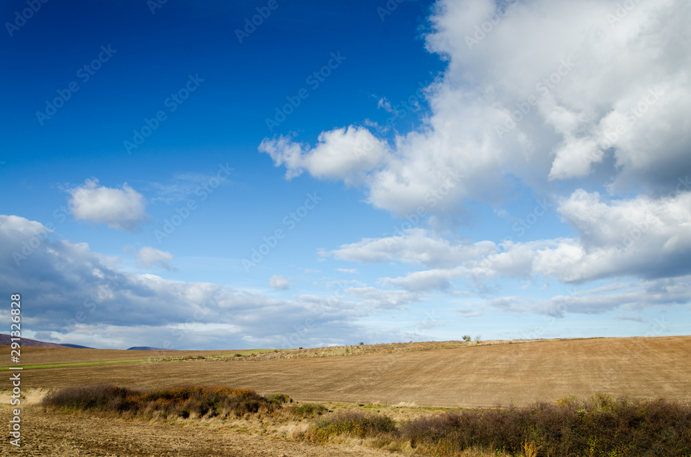 brown field and clouds background brown field and clouds background