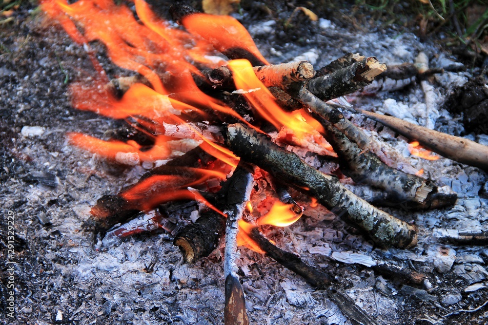 Bonfire in the autumn forest. Tongues of flame, burning dry branches. Close up. Bonfire in the autumn forest. Tongues of flame, burning dry branches. Close up.