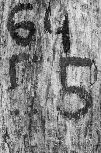 Black and white texture of wood with inscription
