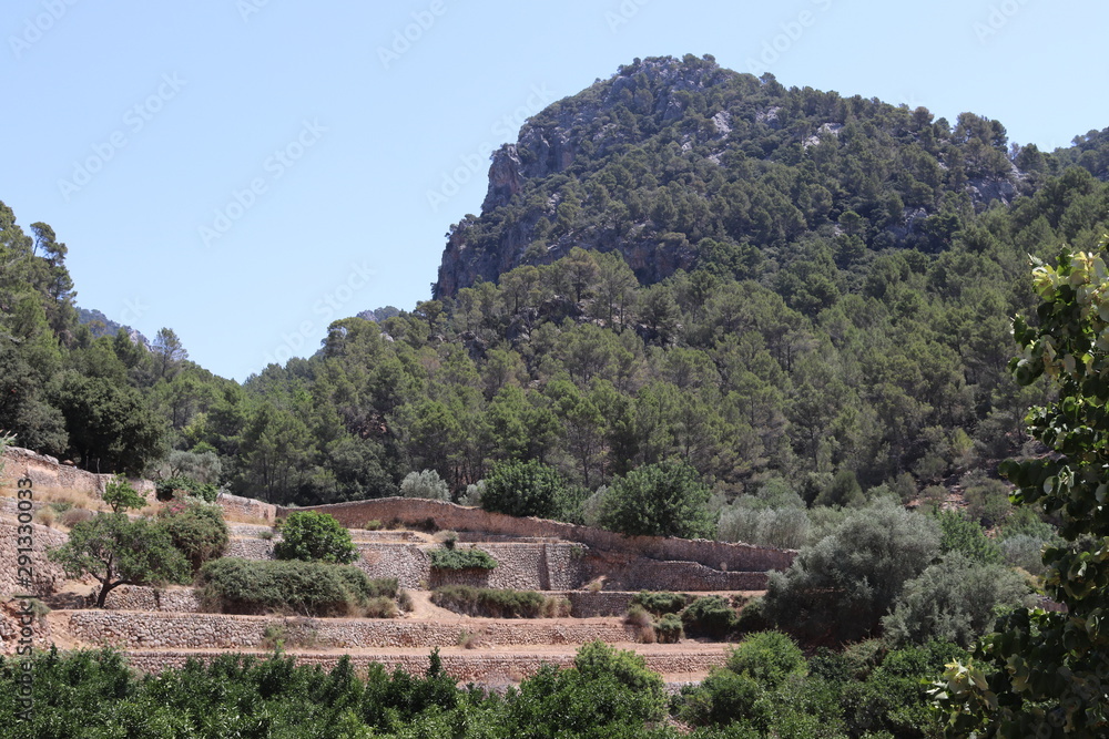 Berg Terrassen Mallorca