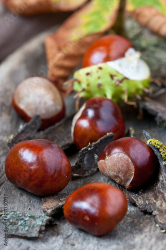 Ripe chestnuts on wooden background