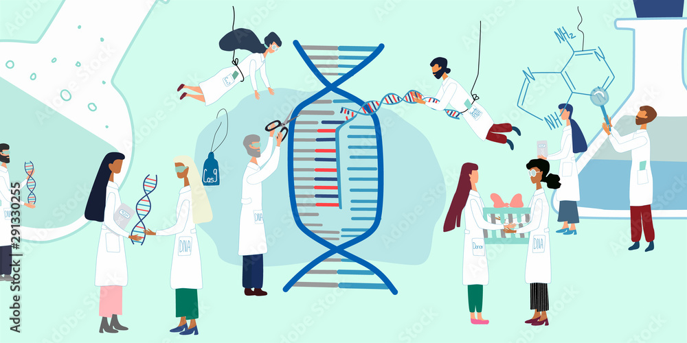 Vecteur Stock Scientists exploring by human genome project. CRISPR- Cas9. Genome sequencing, research, genetic engineering concept. Big set for poster, article, banner, advertising | Adobe Stock