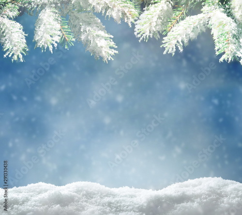 Beautiful snowy winter landscape with a snowy fir branch, snowflakes and blue sky. Winter christmas background.