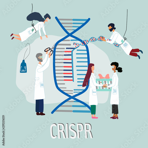 Scientists illustrated how CRISPR CAS9  works. Gene editing tool research . Hand drawn genome sequencing and genetic engineering concept in vector. Human genome project.