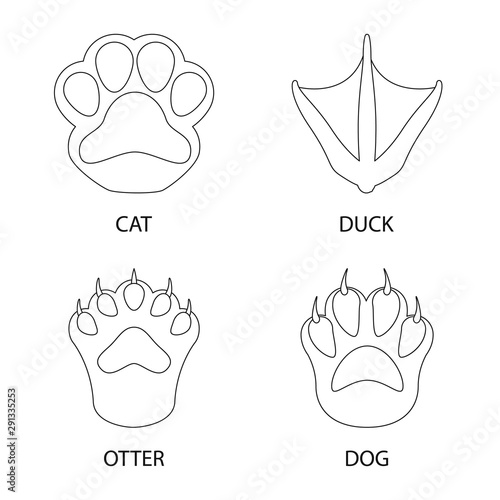 Vector illustration of foot and footprint icon. Set of foot and trace stock symbol for web.