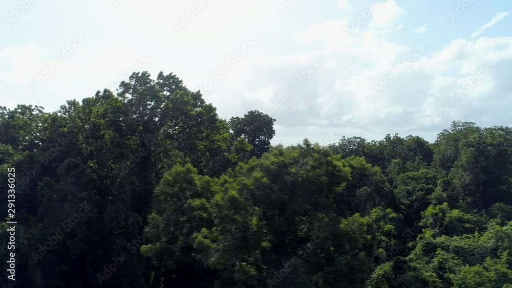 East Texas Woods Aerial- Suburban Houston Aerial View East Texas Woods Aerial- Suburban Houston Aerial View