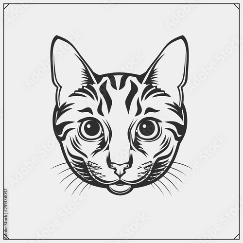 Cute cat face illustration. Greeting card design, print design for t-shirt, template for pet shop logo.