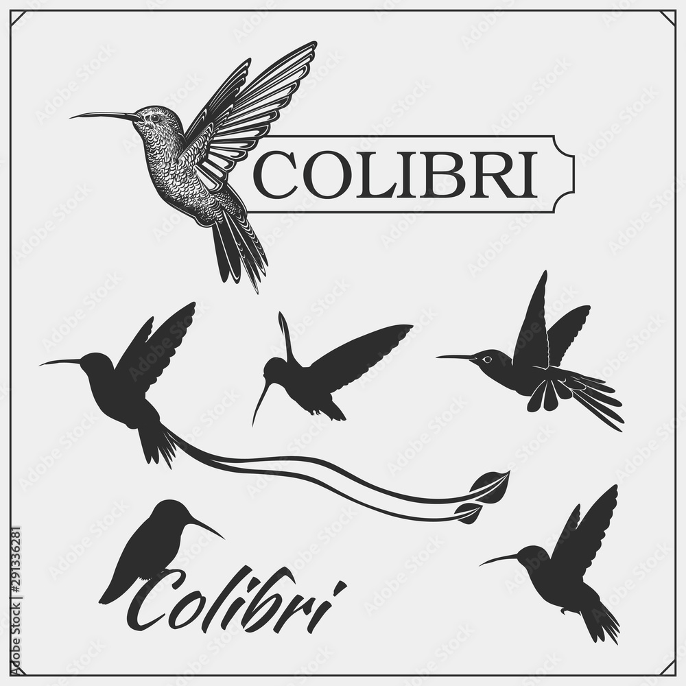 Fototapeta premium Hummingbird colibri bird silhouettes, logos, emblems and design elements. 