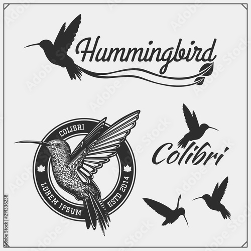 Hummingbird colibri bird silhouettes, logos, emblems and design elements. 