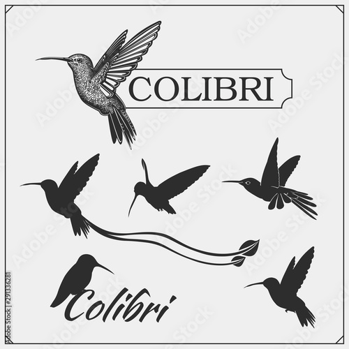 Hummingbird colibri bird silhouettes, logos, emblems and design elements. 