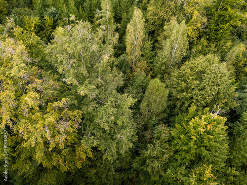 aerial view on a forest in Germany taken using a drone