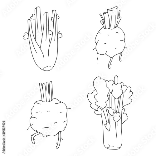 Linear vector illustration of celery stalk, celery root and leaves isolated on white background. Hand drawn cartoon style. Vegetarian organic food ingredient. Healthy diet vegetable.