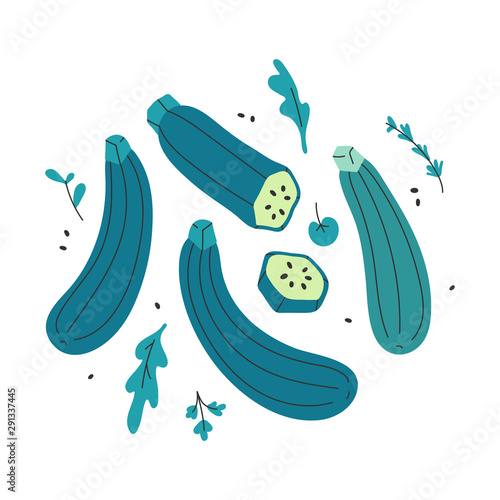 vector colored illustration of green zucchini squash isolated on white background. Hand drawn cartoon style. Vegetable organic food ingredient. Healthy diet vegetable. Autumn ripe seasonal menu.